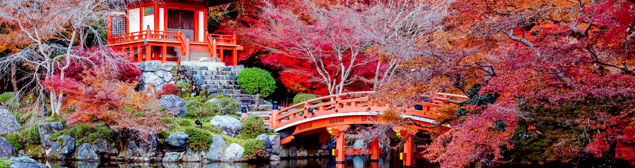 paysage japonais avec un pont et un petit temple avec des arbres à l'automne dans les tons rouge