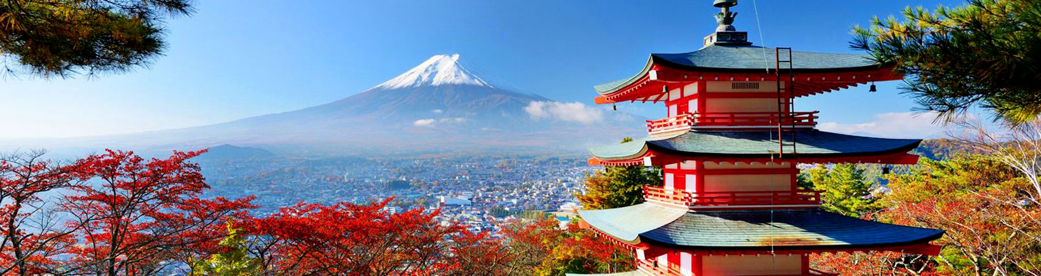 paysage du mont fuji avec une pagode et des arbres